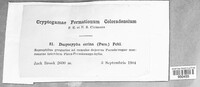 Image Associated With the Occurence